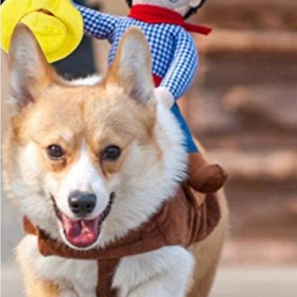 Cowboy riding dog pet costume- Great for Halloween as well! - Picture 3 of 4